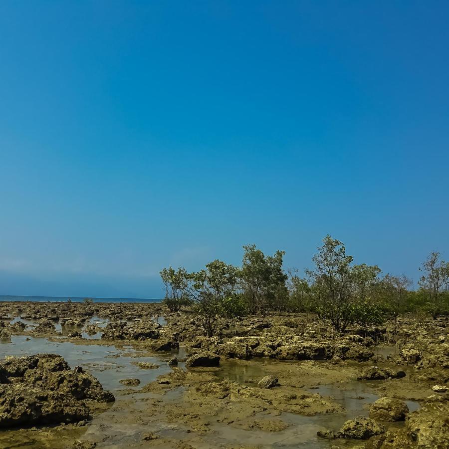 Seasta Beach Resort Baler Kültér fotó